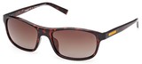 Timberland Sunglasses TB00057-H 52H