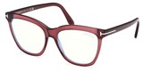 Tom Ford Eyeglasses FT6042-B 069