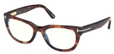Tom Ford Eyeglasses FT6066-B 055