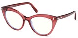 Tom Ford Eyeglasses FT6091-B 069