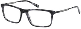 Viva Eyeglasses VV50031 055