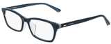 Calvin Klein Eyeglasses CK20552A 424