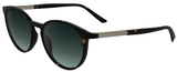Calvin Klein Sunglasses CK24539S 235