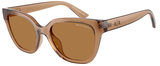 Armani Exchange Sunglasses AX4164SU 839673
