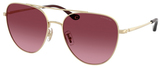 Coach Sunglasses HC7182 90058H