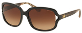 Coach Sunglasses HC8169 535313