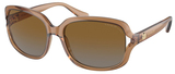 Coach Sunglasses HC8169 5561T5