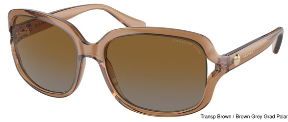 Coach Sunglasses HC8169 5561T5