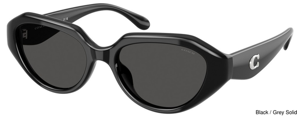 Coach Sunglasses HC8433U 500287