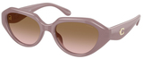 Coach Sunglasses HC8433U 549511