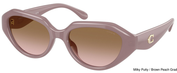 Coach Sunglasses HC8433U 549511