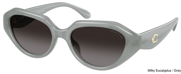 Coach Sunglasses HC8433U 5905T3