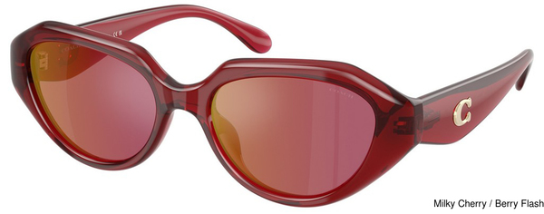 Coach Sunglasses HC8433U 5526D0