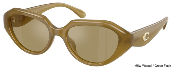 Coach Sunglasses HC8433U 590230