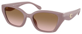 Coach Sunglasses HC8434U 549511