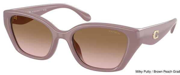 Coach Sunglasses HC8434U 549511