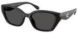 Coach Sunglasses HC8434U 500287