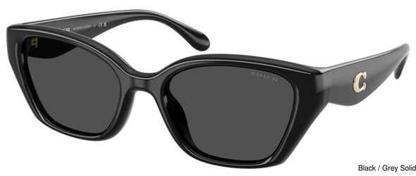 Coach Sunglasses HC8434U 500287