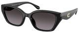 Coach Sunglasses HC8434U 5002F4