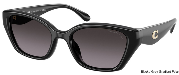 Coach Sunglasses HC8434U 5002F4