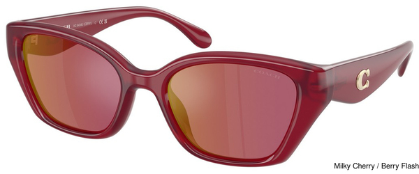 Coach Sunglasses HC8434U 5526D0