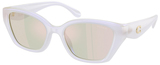Coach Sunglasses HC8434U 5903RG