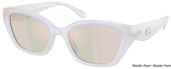 Coach Sunglasses HC8434U 5903RG