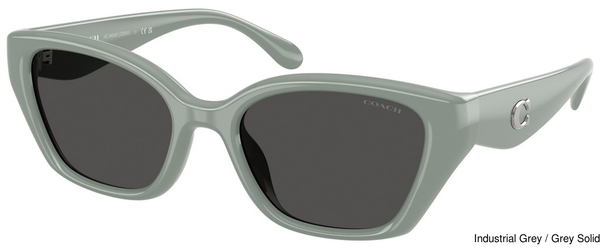 Coach Sunglasses HC8434U 592487