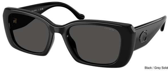 Coach Sunglasses HC8435U 500287