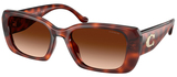 Coach Sunglasses HC8435U 577474