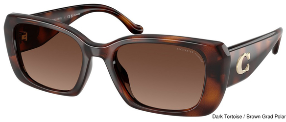 Coach Sunglasses HC8435U 5120T5