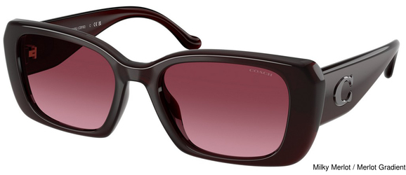 Coach Sunglasses HC8435U 59158H