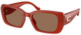 Coach Sunglasses HC8435U 591673
