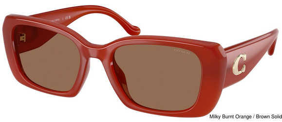 Coach Sunglasses HC8435U 591673