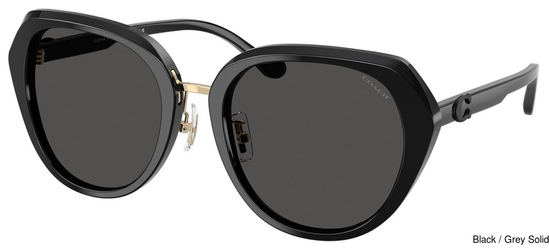 Coach Sunglasses HC8436 500287