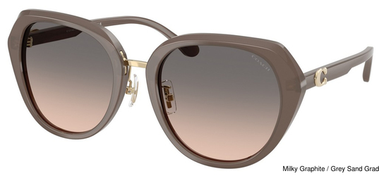 Coach Sunglasses HC8436 5917G9