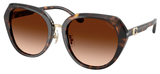 Coach Sunglasses HC8436 512074