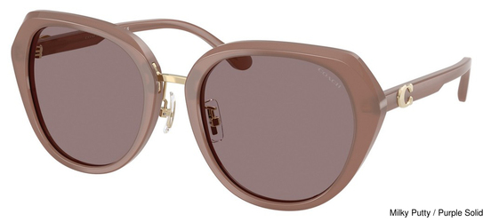 Coach Sunglasses HC8436 54957N