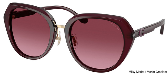 Coach Sunglasses HC8436 59158H