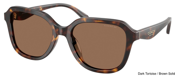 Coach Sunglasses HC8437F 512073