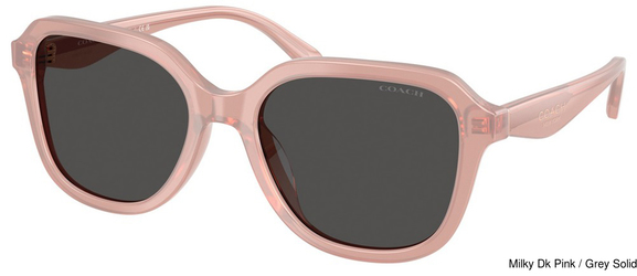 Coach Sunglasses HC8437F 591487