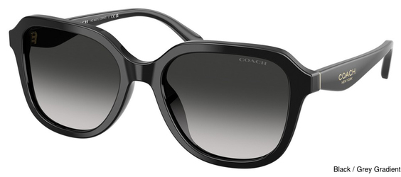 Coach Sunglasses HC8437U 50023C