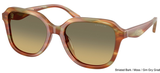 Coach Sunglasses HC8437U 5898L0