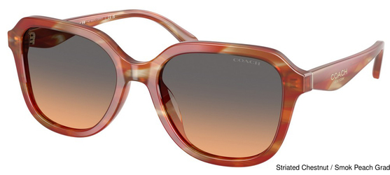 Coach Sunglasses HC8437U 590018