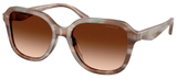 Coach Sunglasses HC8437U 590174