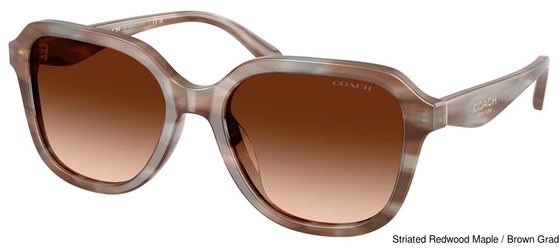 Coach Sunglasses HC8437U 590174
