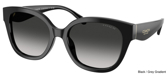 Coach Sunglasses HC8438U 500287