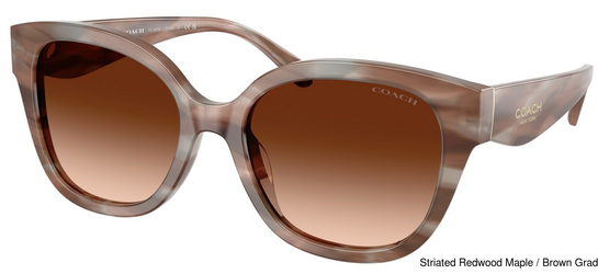 Coach Sunglasses HC8438U 590174