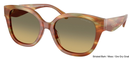 Coach Sunglasses HC8438U 5898L0