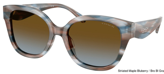 Coach Sunglasses HC8438U 589913